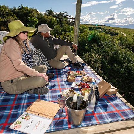 Garden Route Game Lodge Albertinia Exterior foto