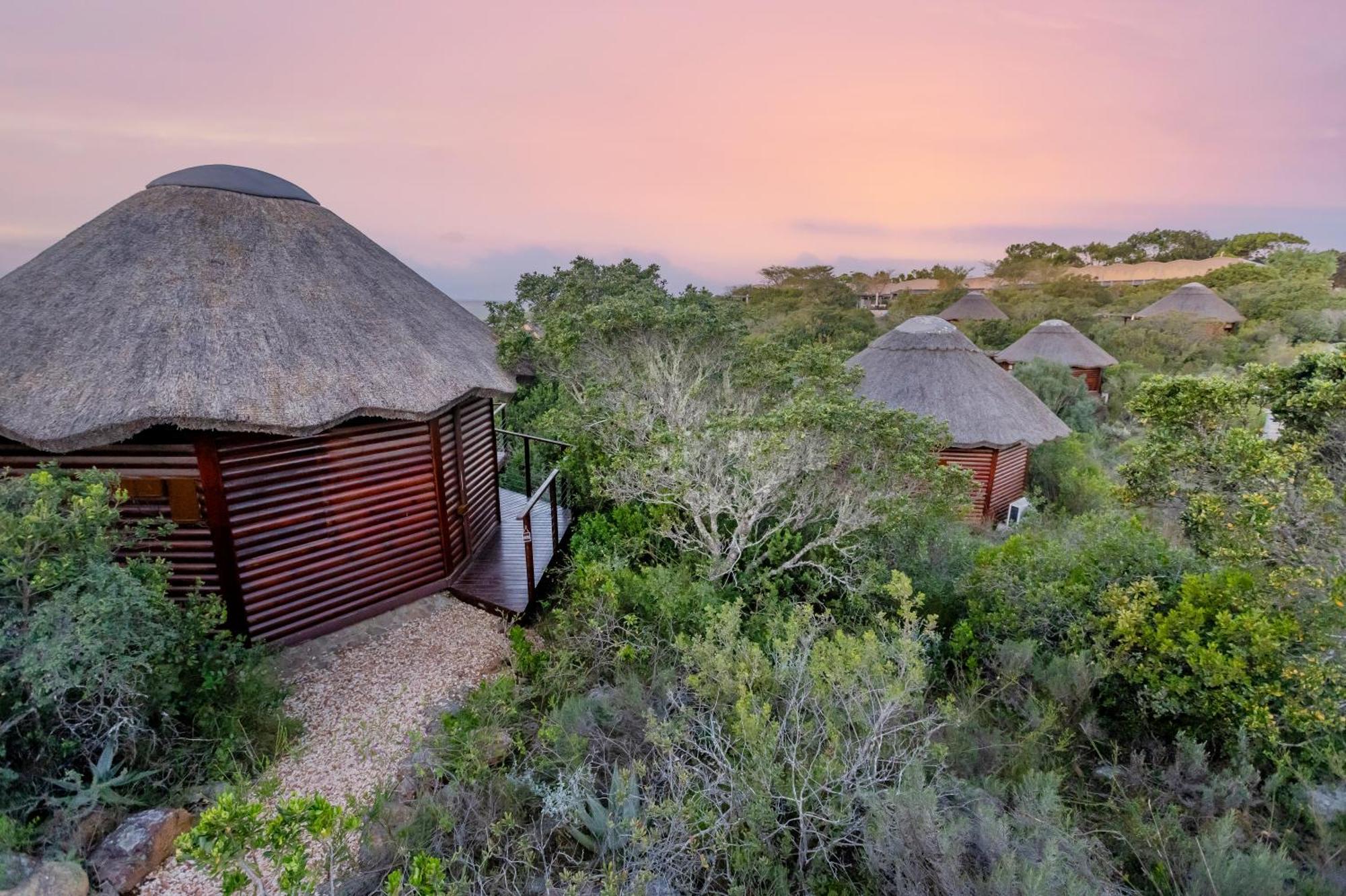 Garden Route Game Lodge Albertinia Exterior foto