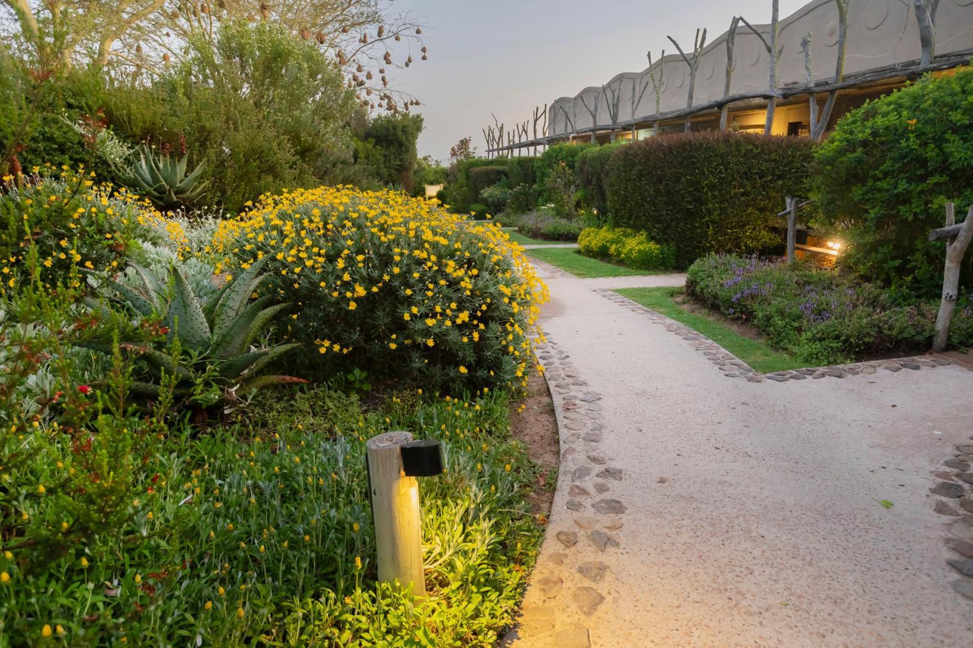Garden Route Game Lodge Albertinia Exterior foto