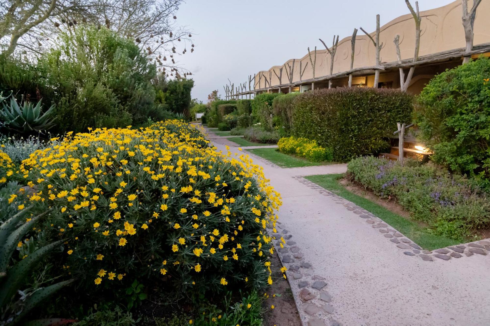Garden Route Game Lodge Albertinia Exterior foto